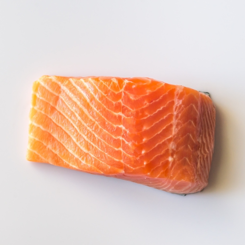 Coho Salmon