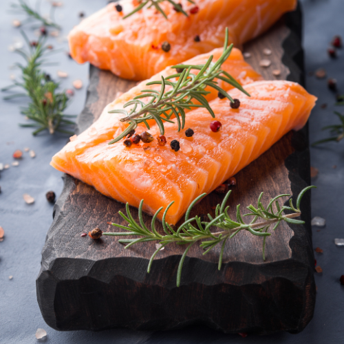 Coho Salmon