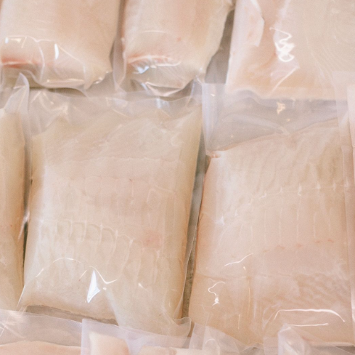 Halibut