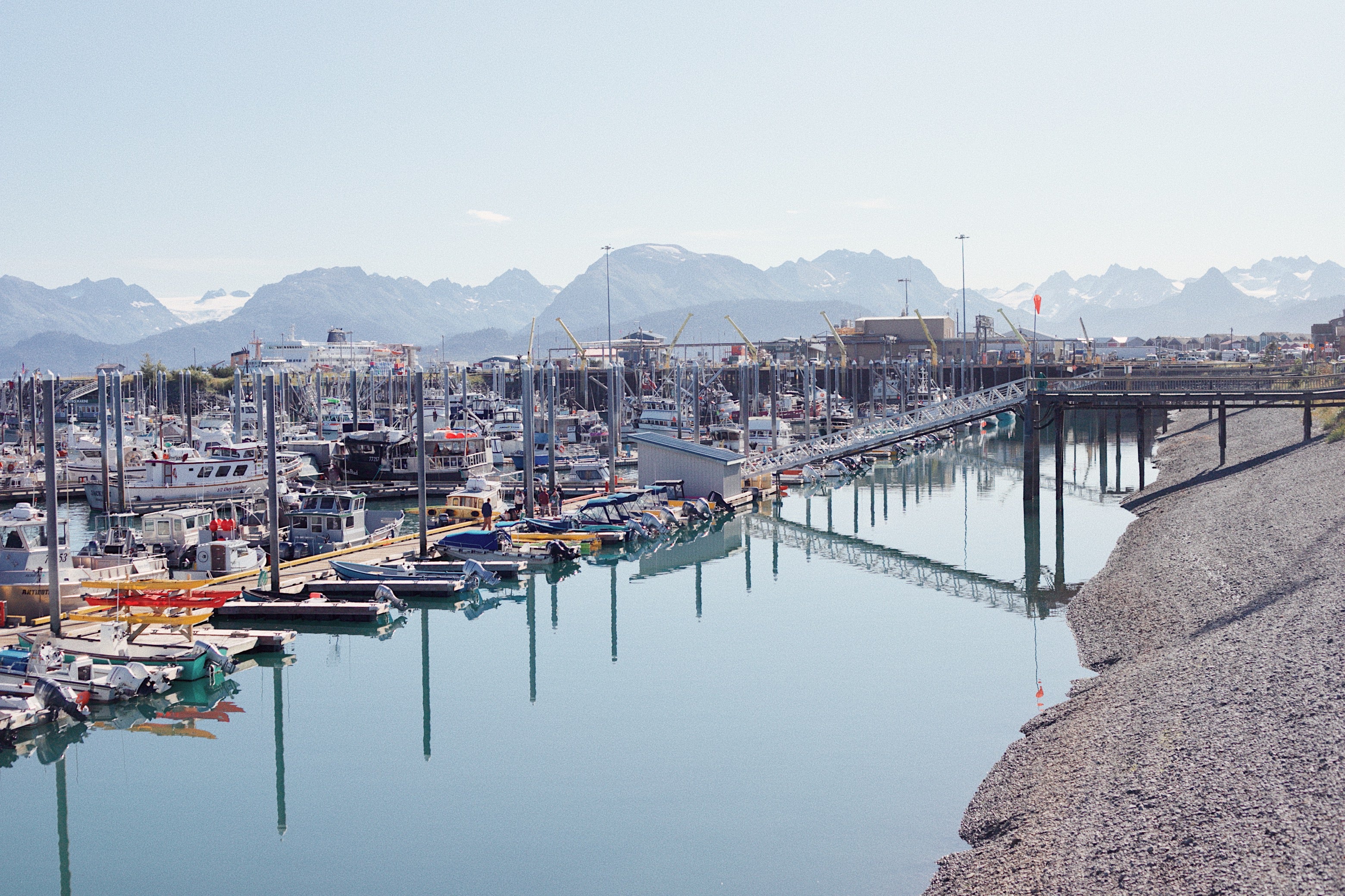 View of the Homer Boat Harbor on a clear, sunny day with the Kenai Mountains and Kachemak Bay in the backdrop.