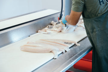 Homer Fish Processing